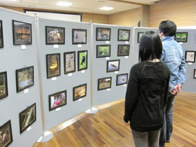 Photo Exchange with a Sister Wetland