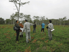 ���n������1