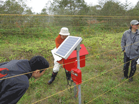 ���n������2