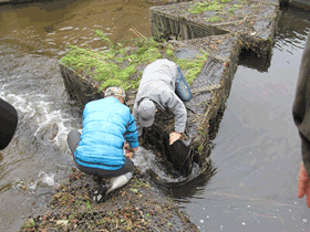 2012ab.gif(39527 byte)