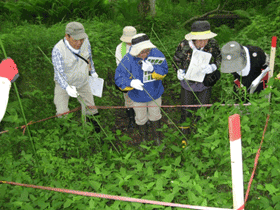 ݂ȂŒׂ镜͐̊E20131