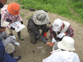 ݂ȂŒׂ镜͐̊E20132