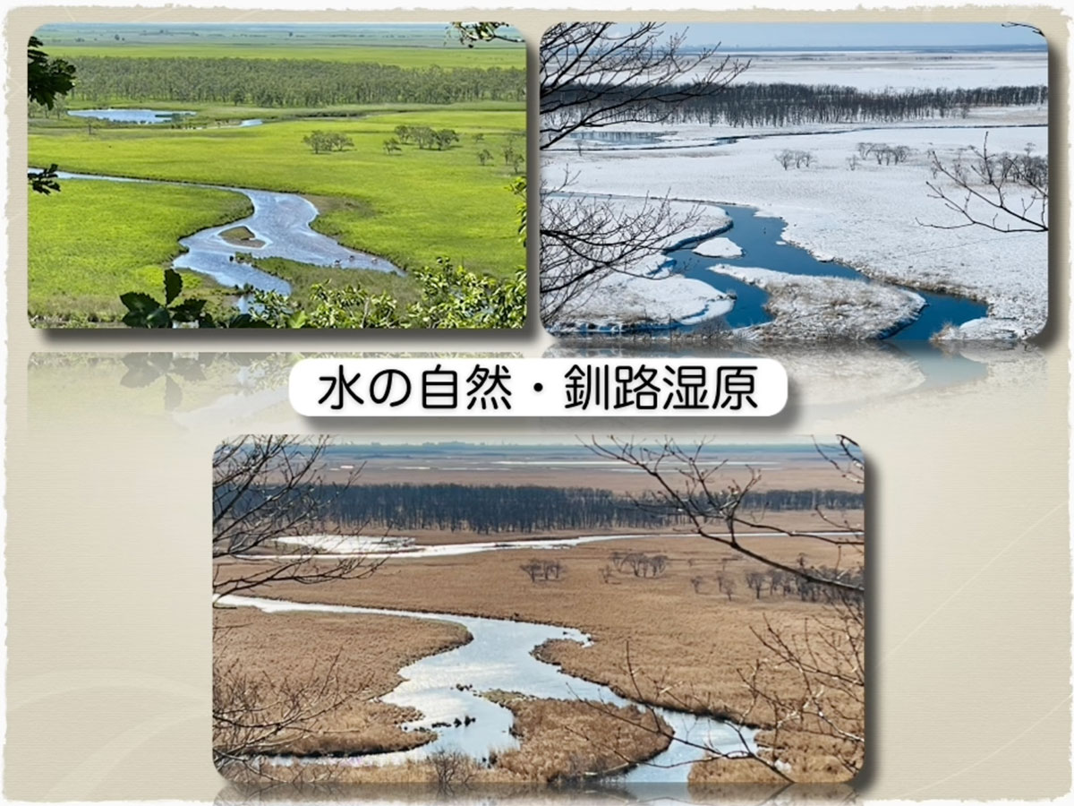 水がつくる釧路湿原