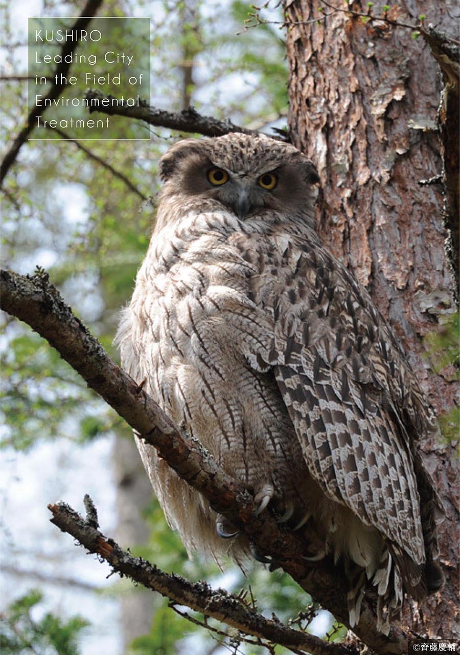 環境治療先進都市釧路